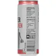 SCHOUS HARD SELTZER FERSKEN 33CL