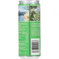 FRUKTHAGEN BRUS EPLE 330ML
