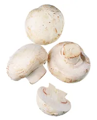 CHAMPIGNON SLIC FROS 4X2,5KG T KG