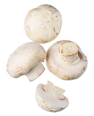 MUSHROOM SLICED FROZ   4X2,5KG   T KG MUSHROOM SLICED FROZ   4X2,5KG   T KG