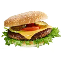 Hamburger Spesial 160g Slåtto