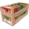 THAI VEGETABLE SOUP100% 4X2,5L