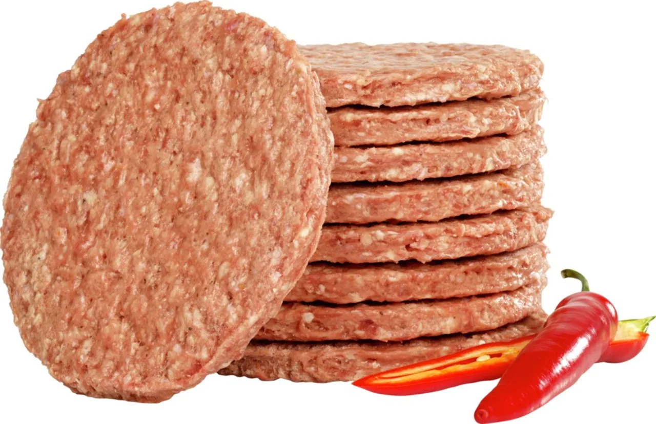 HAMBURGER 100G 5,06KG