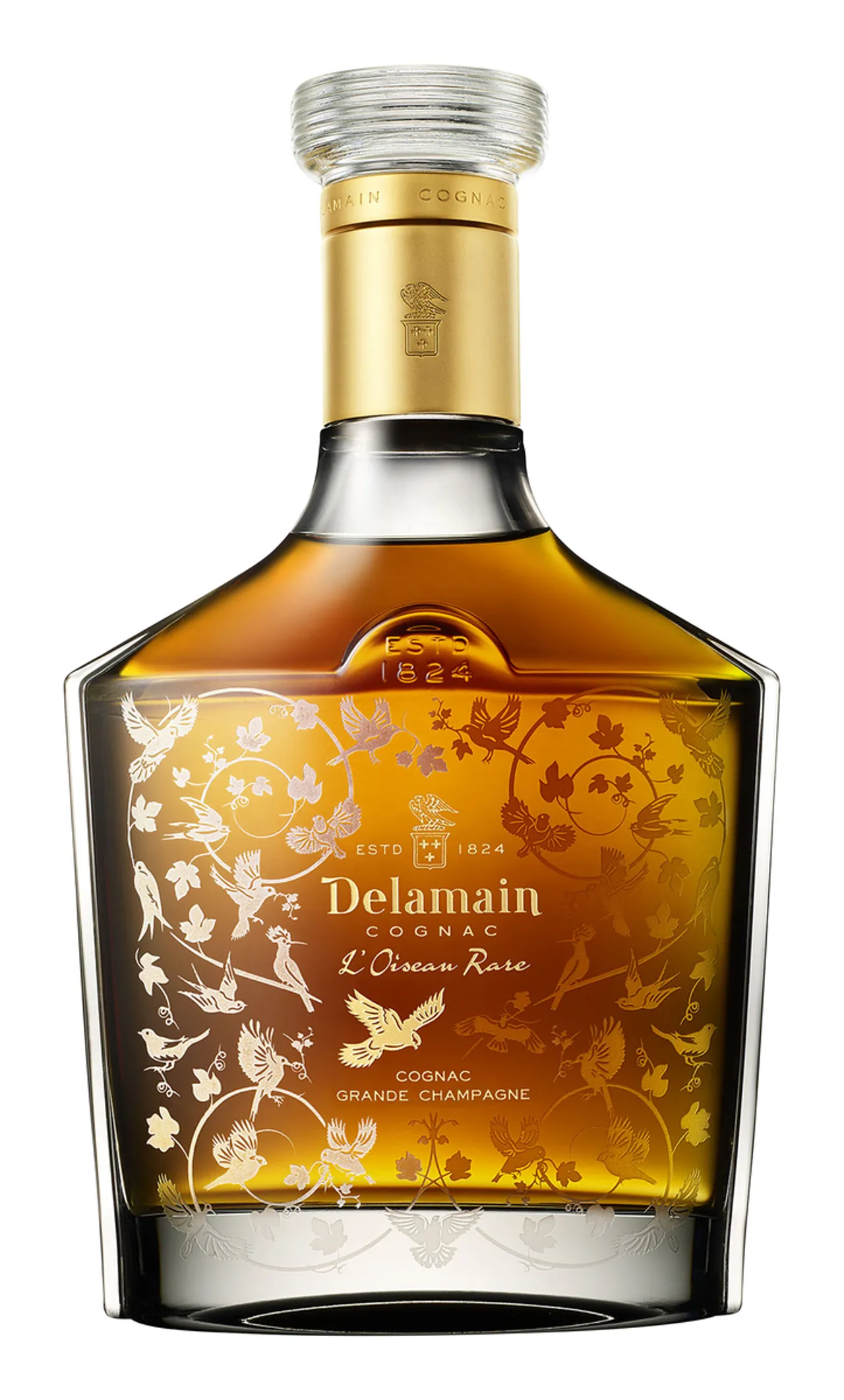 DELAMAIN OISEAU RARE 42% 70CL
