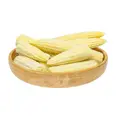MINIMAIZE 10X1KG