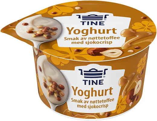 Yog Nyt Nøttetoffee/Sjokocrisp 119g Tine