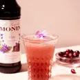 MONIN FIOL SIRUP 70CL