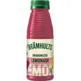 BRÄMHULTS DRAGONIZED LEMONADE 300ML FL