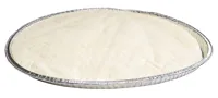GLUTENFRI PIZZABUNN SLÅTTO