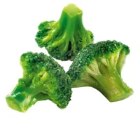 BROKKOLITOPPER KP DYPFRYST NORREK