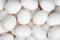 EGG MEDIUM FRITTGÅENDE HØNS 14,3KG