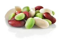 SALATBØNNEBLANDING 1000G NORREK