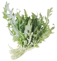 SALAT RUCCOLA 100G PK