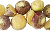 KÅLROT KG