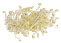 BØNNESPIRER 180G PK