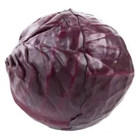 RØDKÅL KG