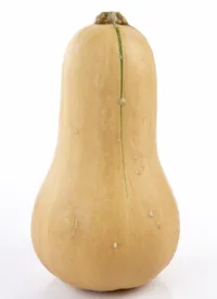GRESSKAR FLASKE FRISK KG