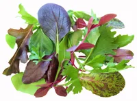 SALAT BABYLEAF MIX 400G STK