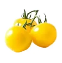 TOMATER CHERRY GUL 250G PK