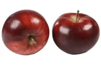 EPLER RØDE KG