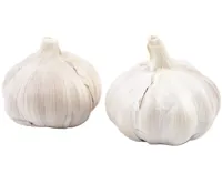 HVITLØK FERSK LØS KG