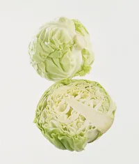 NYKÅL/SOMMERKÅL KG