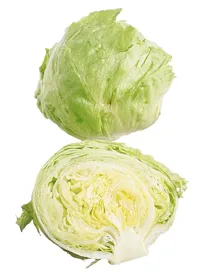 ISBERGSALAT KUTTET 1 KG