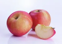EPLER NORSKE KG