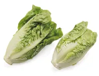 SALAT HJERTESALAT PK