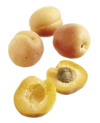 APRIKOSER FERSKE KG
