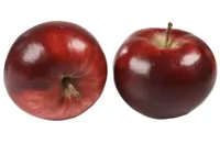 EPLER RØDE ØKOL. KG