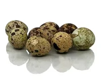 EGG VAKTEL 12 STK NORSKE