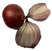 LØK STJERNE RØD KG