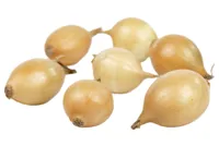 LØK STJERNE KG