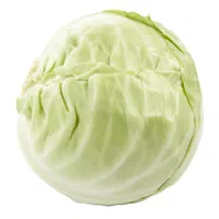 HODEKÅL FINSNITTET KG