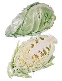 SPISSKÅL ØKOL. STK