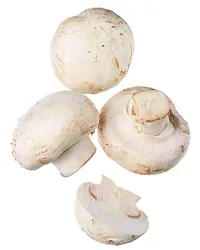 SOPP CHAMPIGNON SKIVET KG