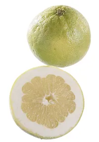 GRAPEFRUKT HVIT KG