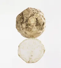 SELLERIROT JULIENNE KG