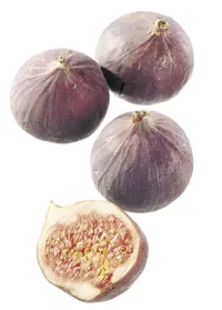 FIKEN FERSK KG