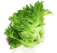 SALAT CRISPI 500G