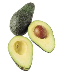 AVOKADO MODNET STK