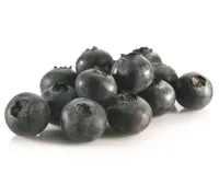 BLÅBÆR 10KG