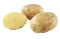 POTET BJERTNÆS&HOEL SMÅ FOLVA, NORSK 10KG KASSE