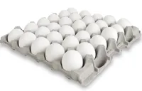 EGG 10 BRETT X30STK MEDIUM CA 18,5 KG