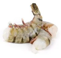 SCAMPI 16/20 M/SKALL U/HODE 1KG