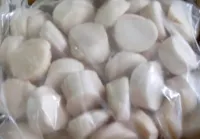 KAMSKJELL 10/20 1KG JP