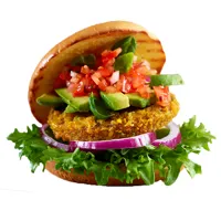 BLACKBEAN VEGETAR BURGER 90G SLÅTTO