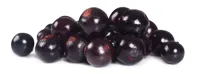 SOLBÆR 2X2.5KG NORREK