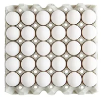 EGG LARGE FRITTGÅENDE 8X30STK
